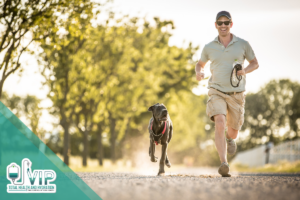 3 Benefits of Supplementing Male Hormones