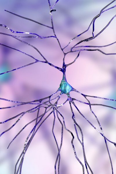 Nerve Disorders Natural Pain Management Approach from VIP